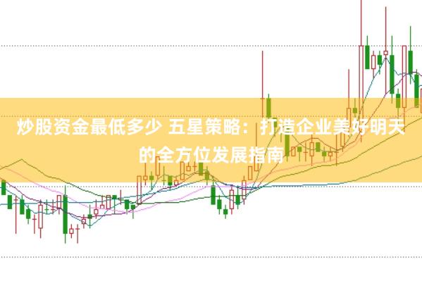 炒股资金最低多少 五星策略：打造企业美好明天的全方位发展指南