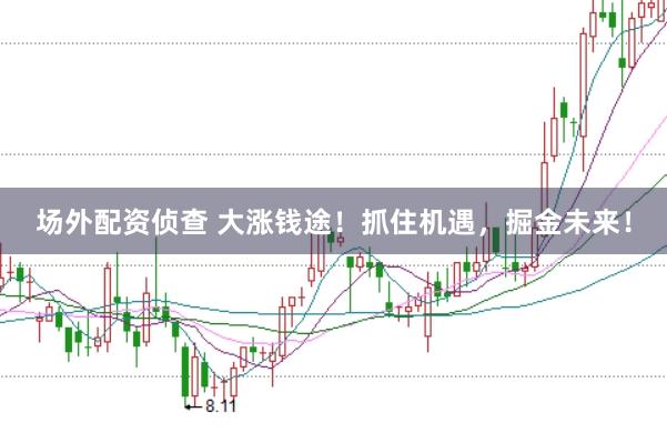 场外配资侦查 大涨钱途！抓住机遇，掘金未来！