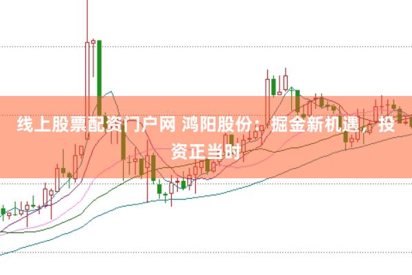 线上股票配资门户网 鸿阳股份：掘金新机遇，投资正当时