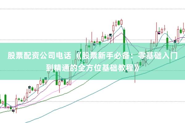 股票配资公司电话 《股票新手必备：零基础入门到精通的全方位基础教程》