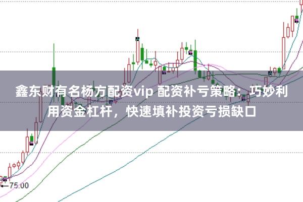 鑫东财有名杨方配资vip 配资补亏策略：巧妙利用资金杠杆，快速填补投资亏损缺口