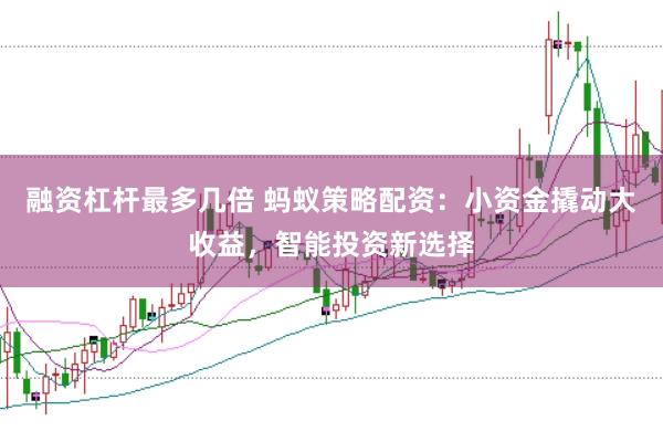 融资杠杆最多几倍 蚂蚁策略配资：小资金撬动大收益，智能投资新选择