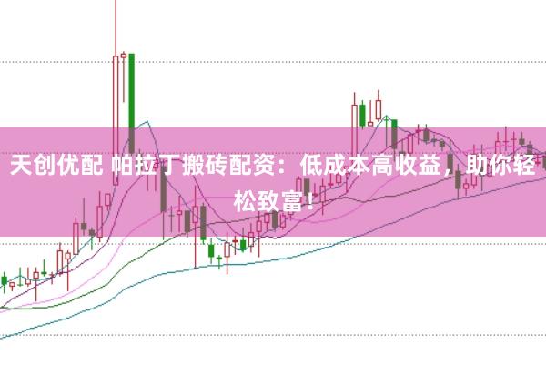 天创优配 帕拉丁搬砖配资：低成本高收益，助你轻松致富！