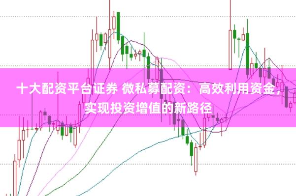 十大配资平台证券 微私募配资：高效利用资金，实现投资增值的新路径