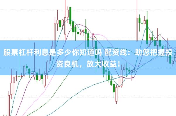 股票杠杆利息是多少你知道吗 配资线：助您把握投资良机，放大收益！