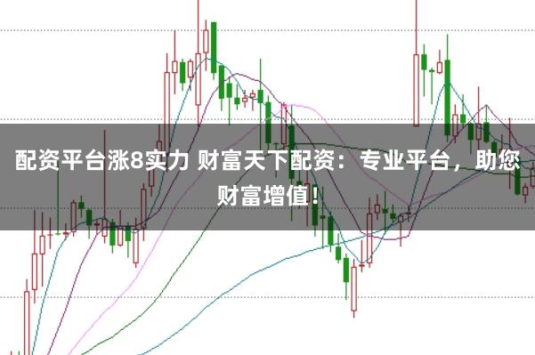 配资平台涨8实力 财富天下配资：专业平台，助您财富增值！