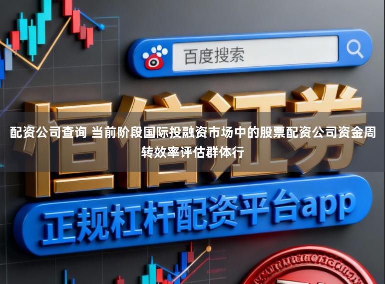 配资公司查询 当前阶段国际投融资市场中的股票配资公司资金周转效率评估群体行