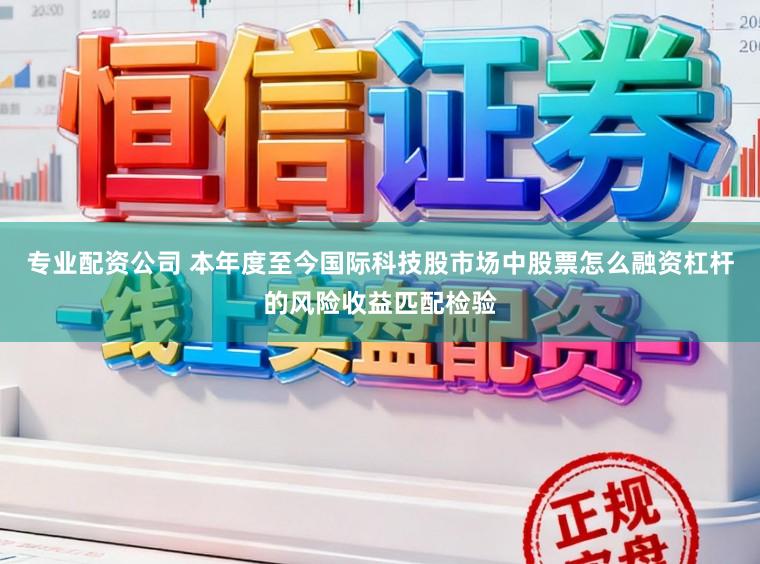 专业配资公司 本年度至今国际科技股市场中股票怎么融资杠杆的风险收益匹配检验
