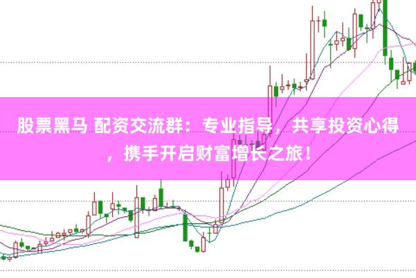 股票黑马 配资交流群：专业指导，共享投资心得，携手开启财富增长之旅！