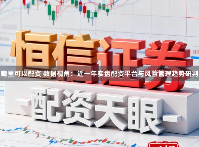 哪里可以配资 数据视角：近一年实盘配资平台与风险管理趋势研判